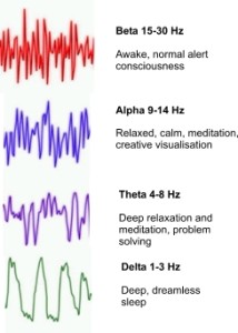 brain waves